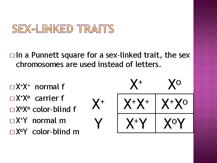 � In a Punnett square for a sex-linked trait, the sex chromosomes are used