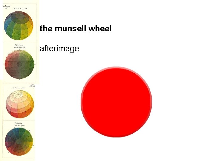 the munsell wheel afterimage 