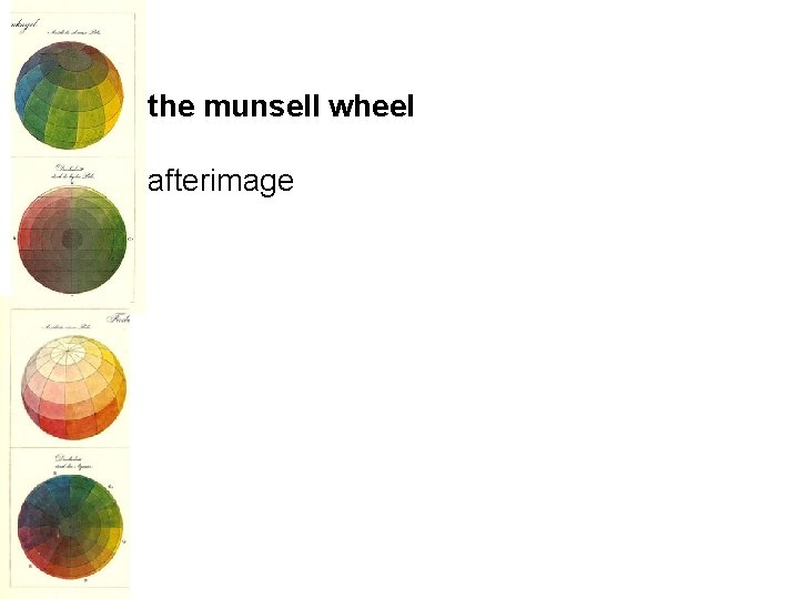 the munsell wheel afterimage 
