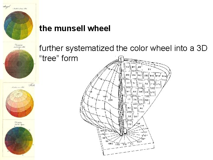 the munsell wheel further systematized the color wheel into a 3 D “tree” form