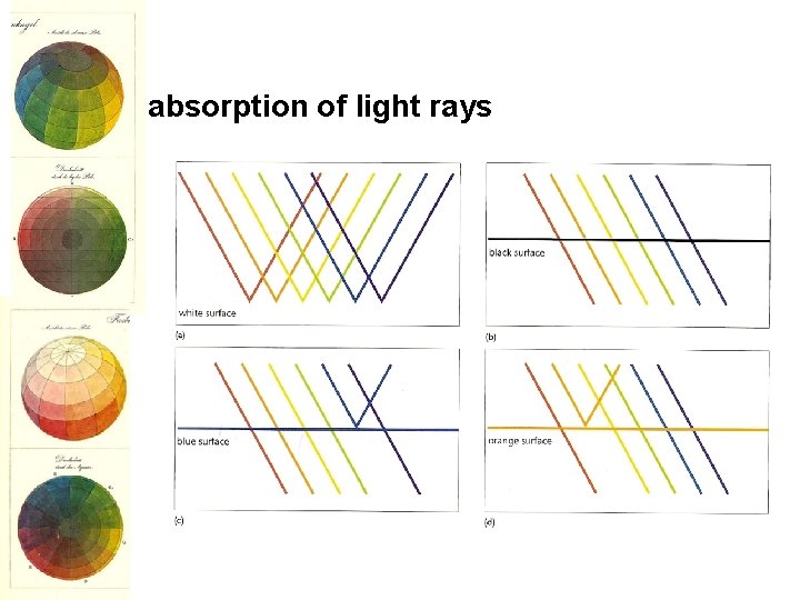 absorption of light rays 