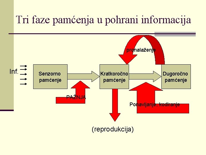 Tri faze pamćenja u pohrani informacija pronalaženje Inf. Senzorno pamćenje Kratkoročno pamćenje Dugoročno pamćenje