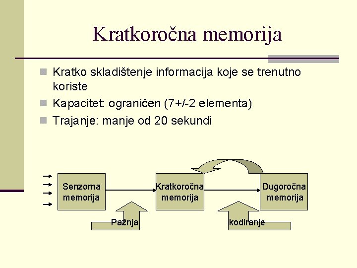 Kratkoročna memorija n Kratko skladištenje informacija koje se trenutno koriste n Kapacitet: ograničen (7+/-2
