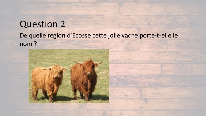 Question 2 De quelle région d’Ecosse cette jolie vache porte-t-elle le nom ? 