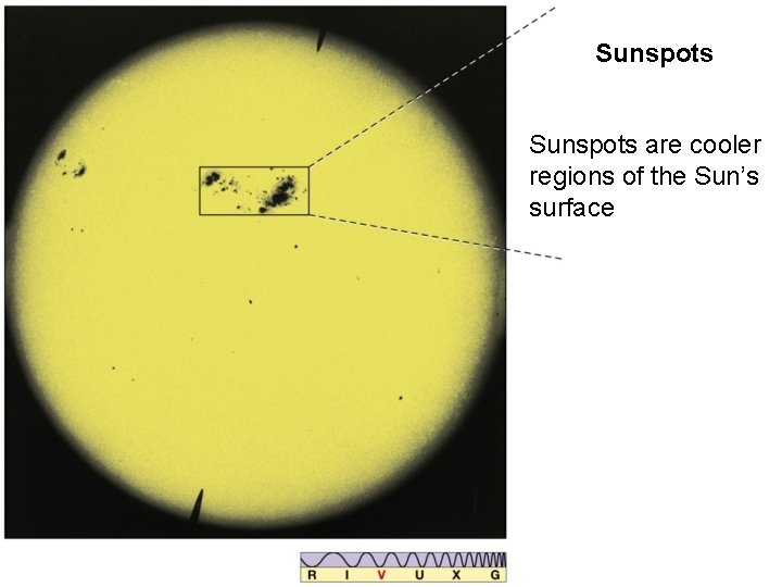 Sunspots are cooler regions of the Sun’s surface 
