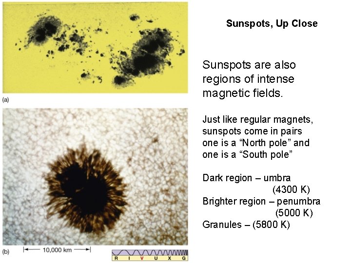 Sunspots, Up Close Sunspots are also regions of intense magnetic fields. Just like regular