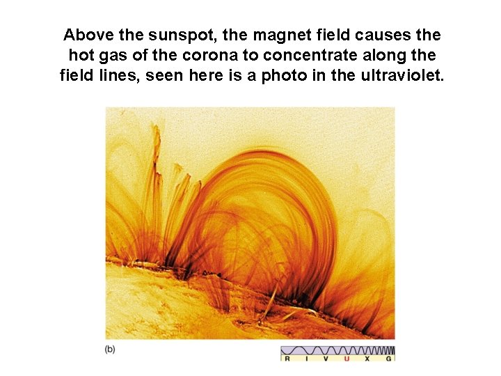 Above the sunspot, the magnet field causes the hot gas of the corona to