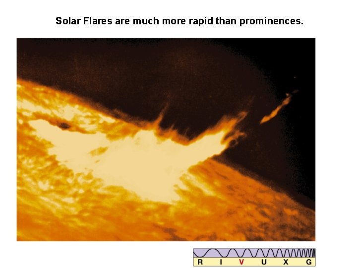 Solar Flares are much more rapid than prominences. 