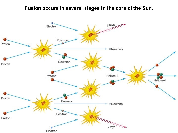 Fusion occurs in several stages in the core of the Sun. 