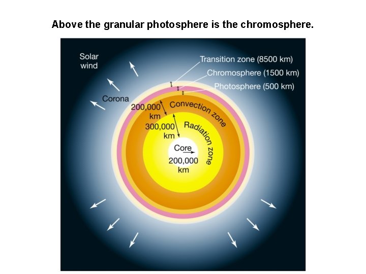 Above the granular photosphere is the chromosphere. 