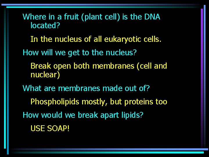 Where in a fruit (plant cell) is the DNA located? In the nucleus of