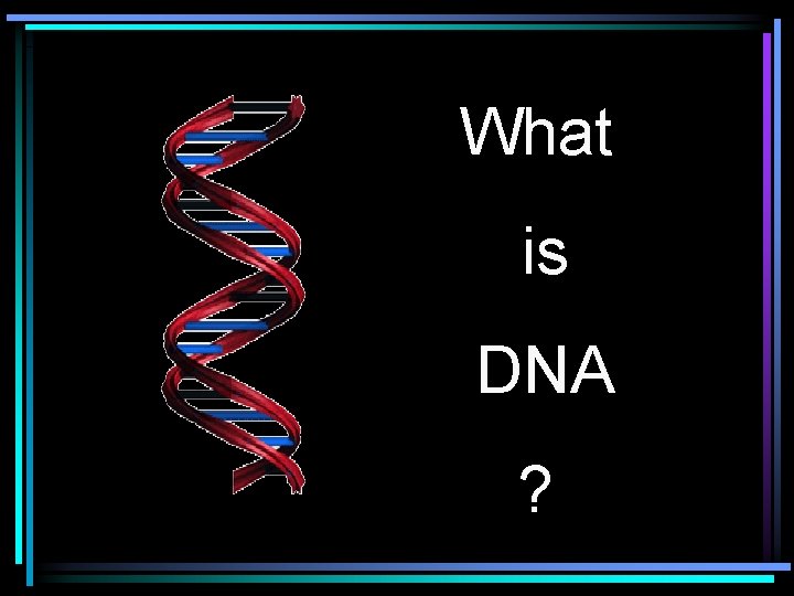 What is DNA ? 