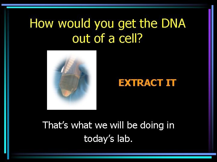 How would you get the DNA out of a cell? EXTRACT IT That’s what