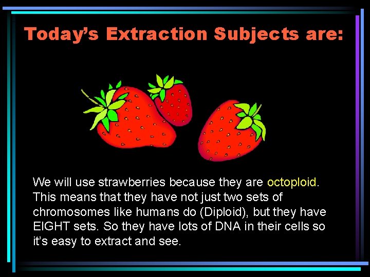 Today’s Extraction Subjects are: We will use strawberries because they are octoploid. This means