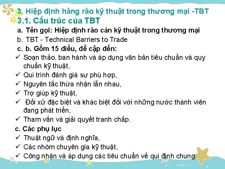 3. Hiệp định hàng rào kỹ thuật trong thương mại -TBT 3. 1. Cấu