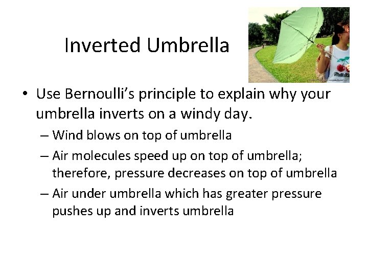 Inverted Umbrella • Use Bernoulli’s principle to explain why your umbrella inverts on a