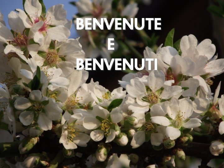 BENVENUTE E BENVENUTI 