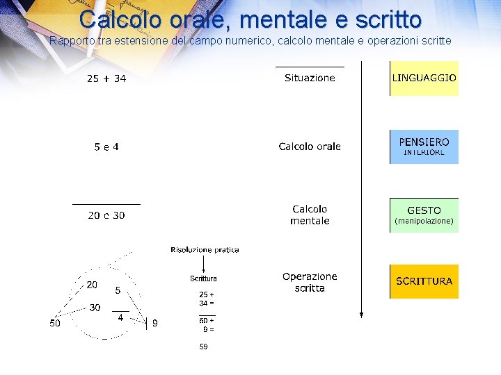 Calcolo orale, mentale e scritto Rapporto tra estensione del campo numerico, calcolo mentale e