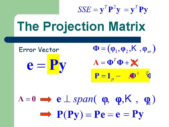 The Projection Matrix Error Vector 