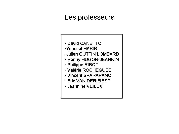 Les professeurs • David CANETTO • Youssef HABIB • Julien GUTTIN LOMBARD • Ronny