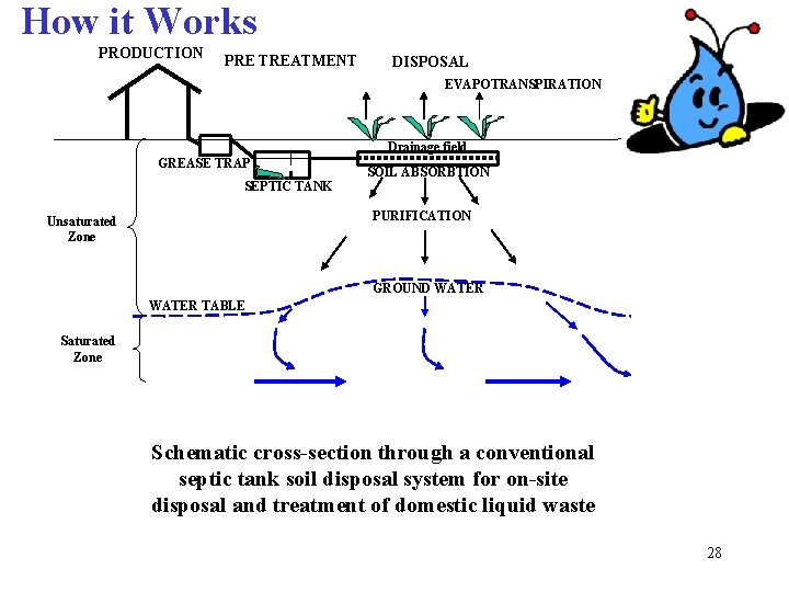 How it Works PRODUCTION PRE TREATMENT DISPOSAL EVAPOTRANSPIRATION Drainage field GREASE TRAP SOIL ABSORBTION