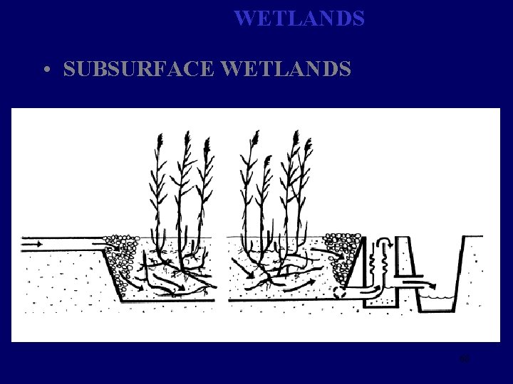 WETLANDS • SUBSURFACE WETLANDS 68 