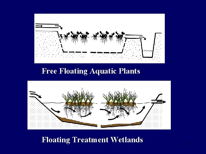 Free Floating Aquatic Plants Floating Treatment Wetlands 72 