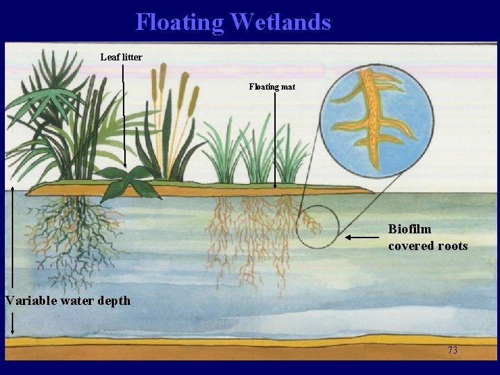Floating Wetlands Leaf litter Floating mat Biofilm covered roots Variable water depth 73 