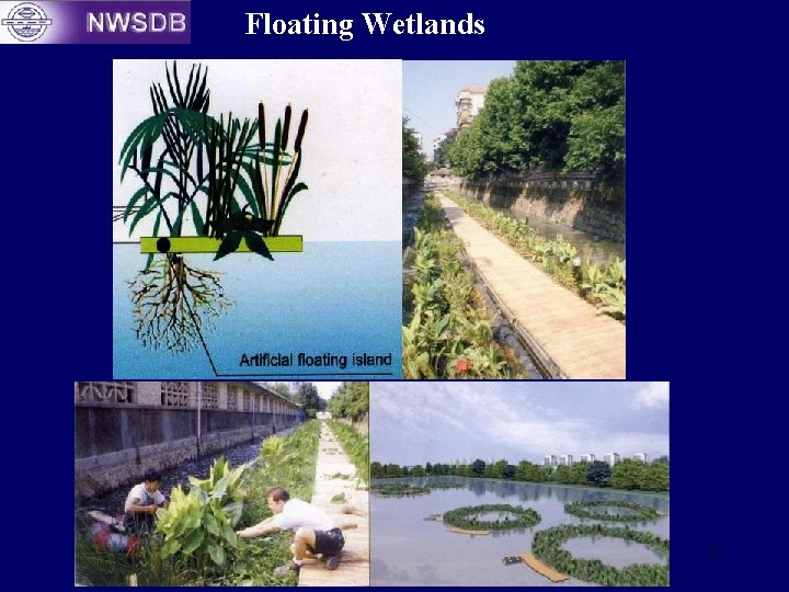 Floating Wetlands 77 