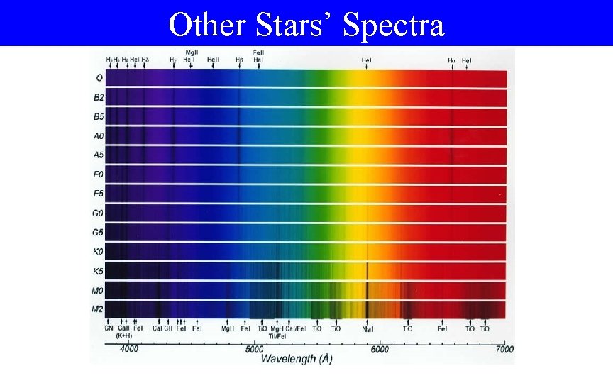 Other Stars’ Spectra 