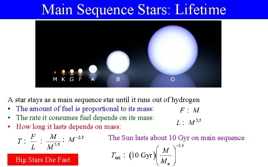 Main Sequence Stars: Lifetime A star stays as a main sequence star until it