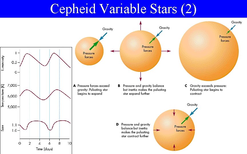 Cepheid Variable Stars (2) 