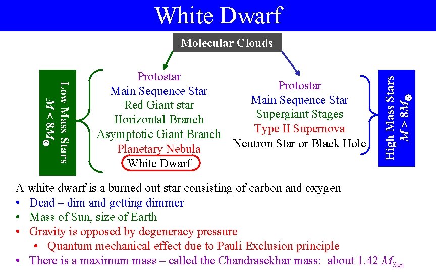 White Dwarf Low Mass Stars M < 8 M Protostar Main Sequence Star Red