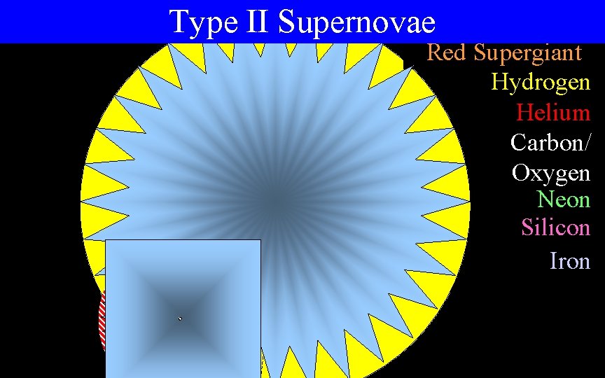 Type II Supernovae Red Supergiant Hydrogen Helium Carbon/ Oxygen Neon Silicon Iron 