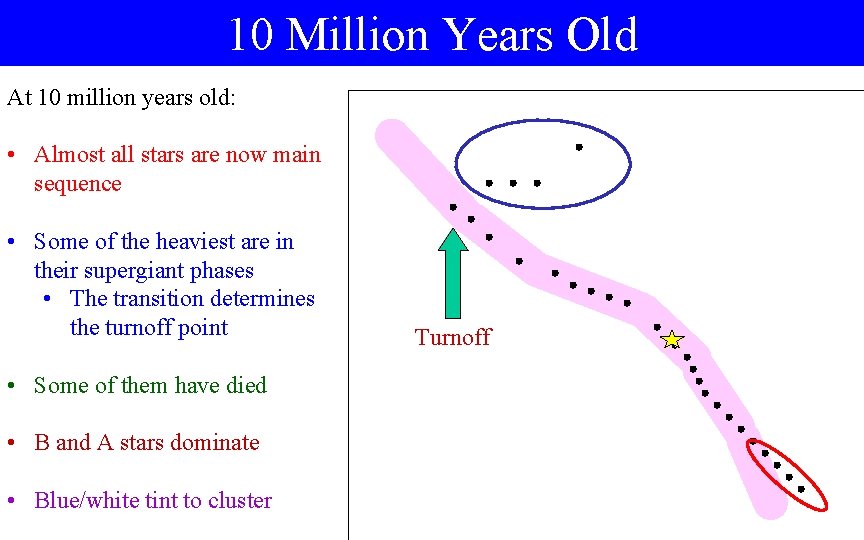 10 Million Years Old At 10 million years old: • Almost all stars are