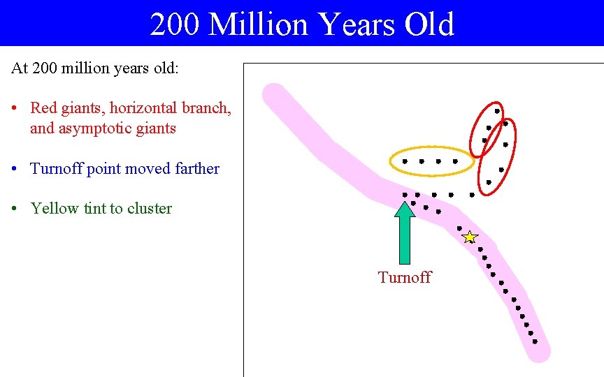 200 Million Years Old At 200 million years old: • Red giants, horizontal branch,