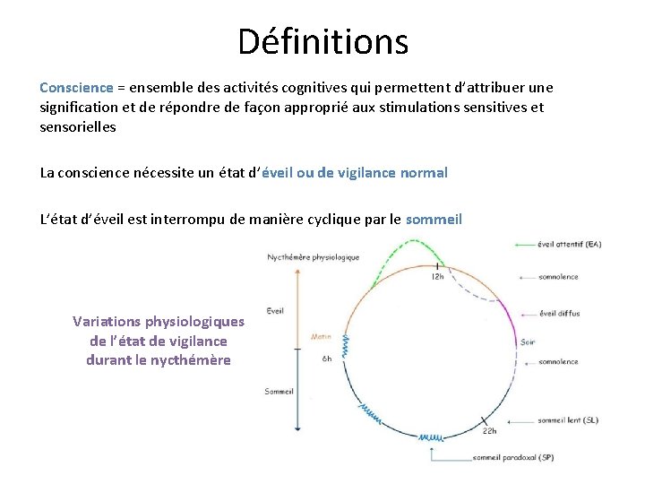 Physiopathologie des troubles de la vigilance 1 er