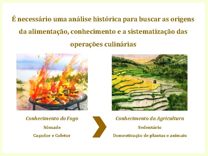 É necessário uma análise histórica para buscar as origens da alimentação, conhecimento e a