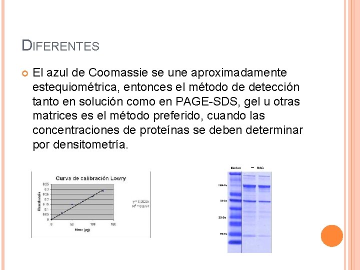 DIFERENTES El azul de Coomassie se une aproximadamente estequiométrica, entonces el método de detección