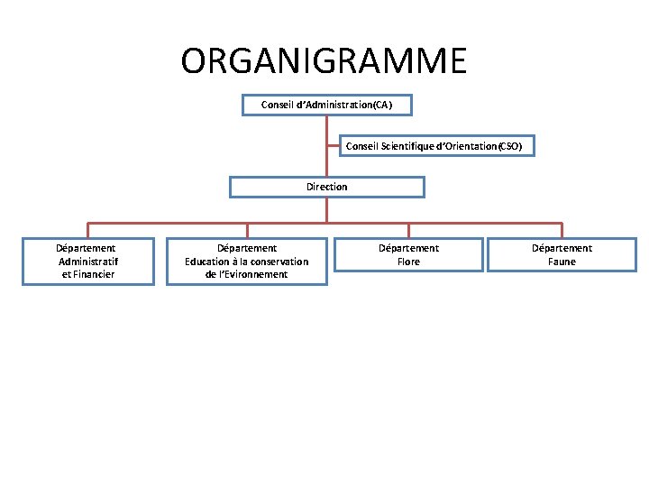 ORGANIGRAMME Conseil d’Administration(CA) Conseil Scientifique d’Orientation(CSO) Direction Département Administratif et Financier Département Education à