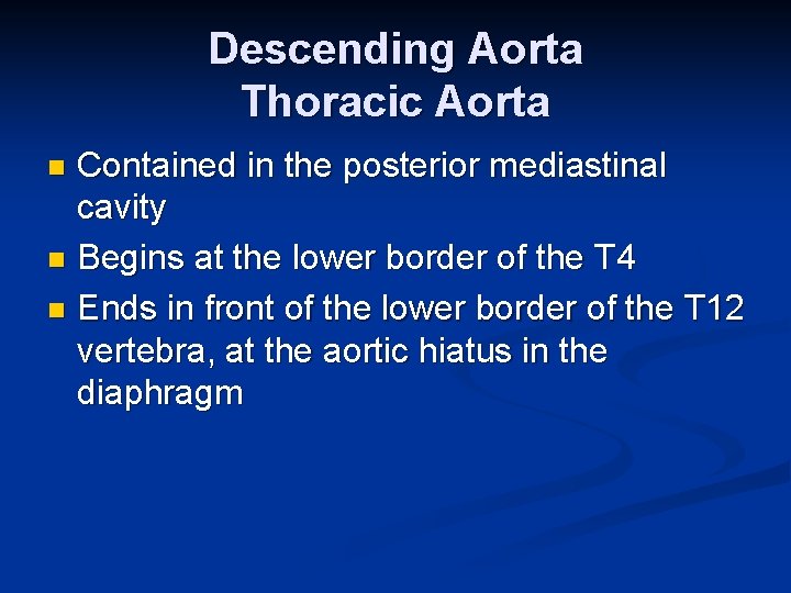 Descending Aorta Thoracic Aorta Contained in the posterior mediastinal cavity n Begins at the