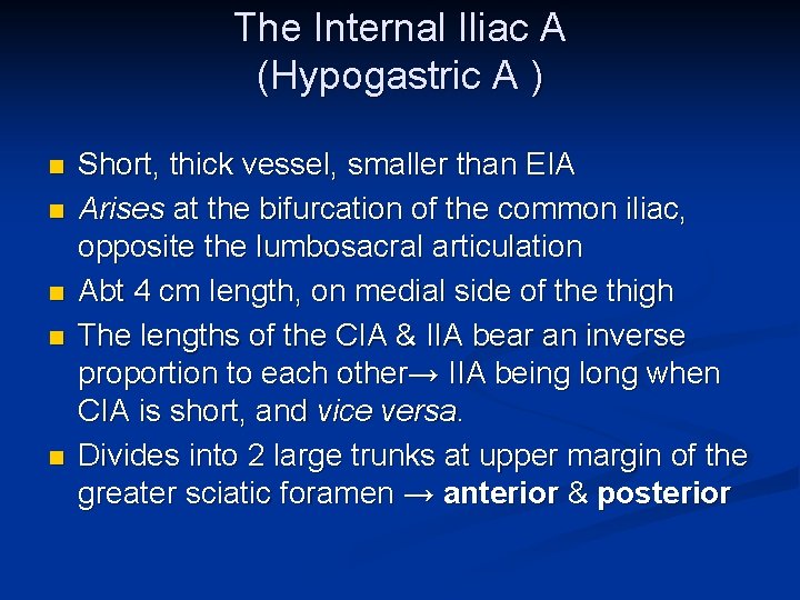 The Internal Iliac A (Hypogastric A ) n n n Short, thick vessel, smaller