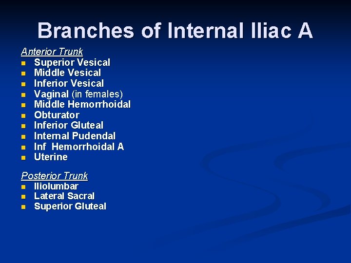 Branches of Internal Iliac A Anterior Trunk n Superior Vesical n Middle Vesical n