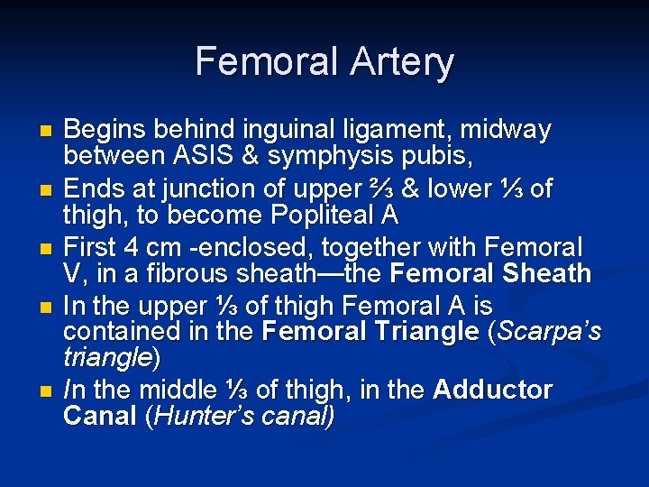 Femoral Artery n n n Begins behind inguinal ligament, midway between ASIS & symphysis