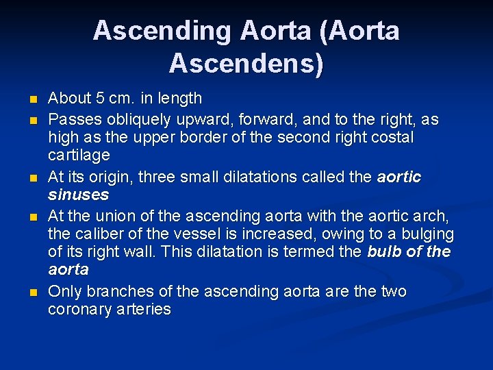 Ascending Aorta (Aorta Ascendens) n n n About 5 cm. in length Passes obliquely