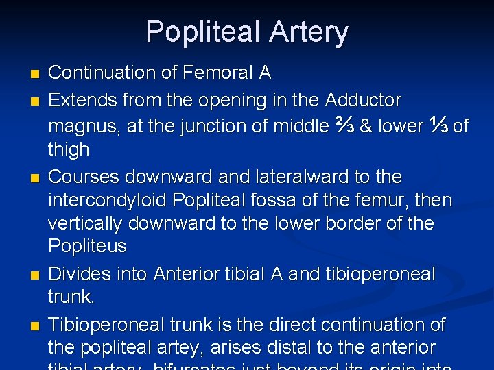 Popliteal Artery n n n Continuation of Femoral A Extends from the opening in