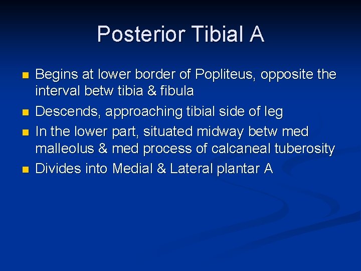 Posterior Tibial A n n Begins at lower border of Popliteus, opposite the interval