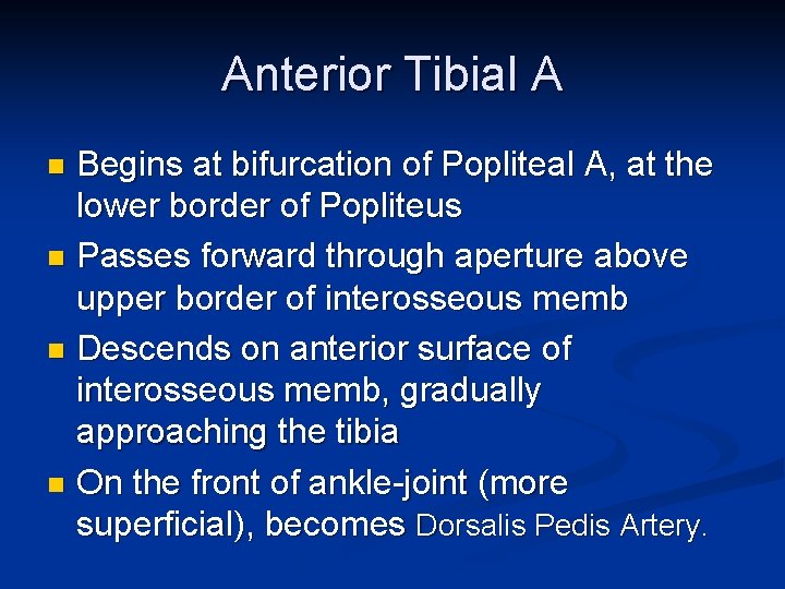 Anterior Tibial A Begins at bifurcation of Popliteal A, at the lower border of