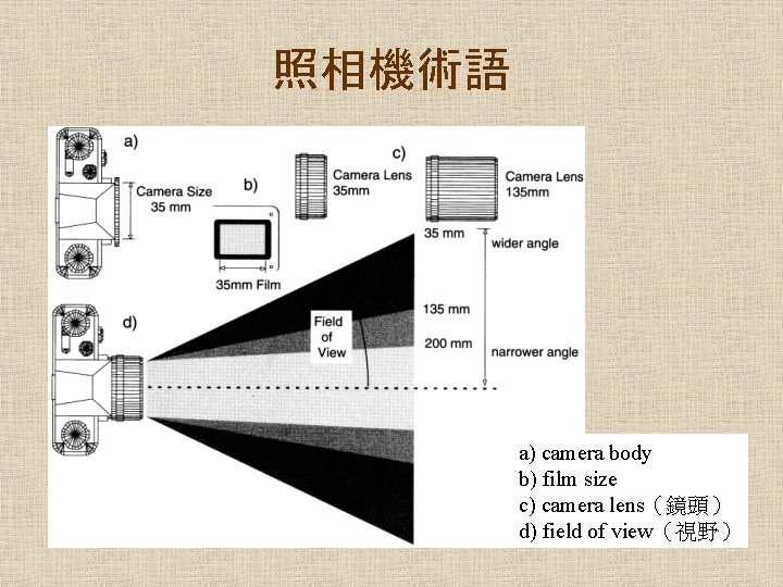 照相機術語 a) camera body b) film size c) camera lens（鏡頭） d) field of view（視野）