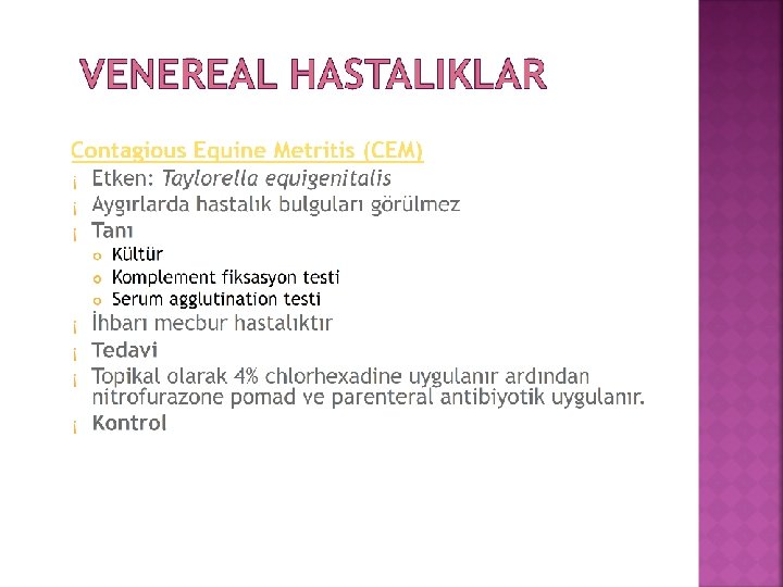 VENEREAL HASTALIKLAR Contagious Equine Metritis (CEM) Etken: Taylorella equigenitalis Aygırlarda hastalık bulguları görülmez Tanı